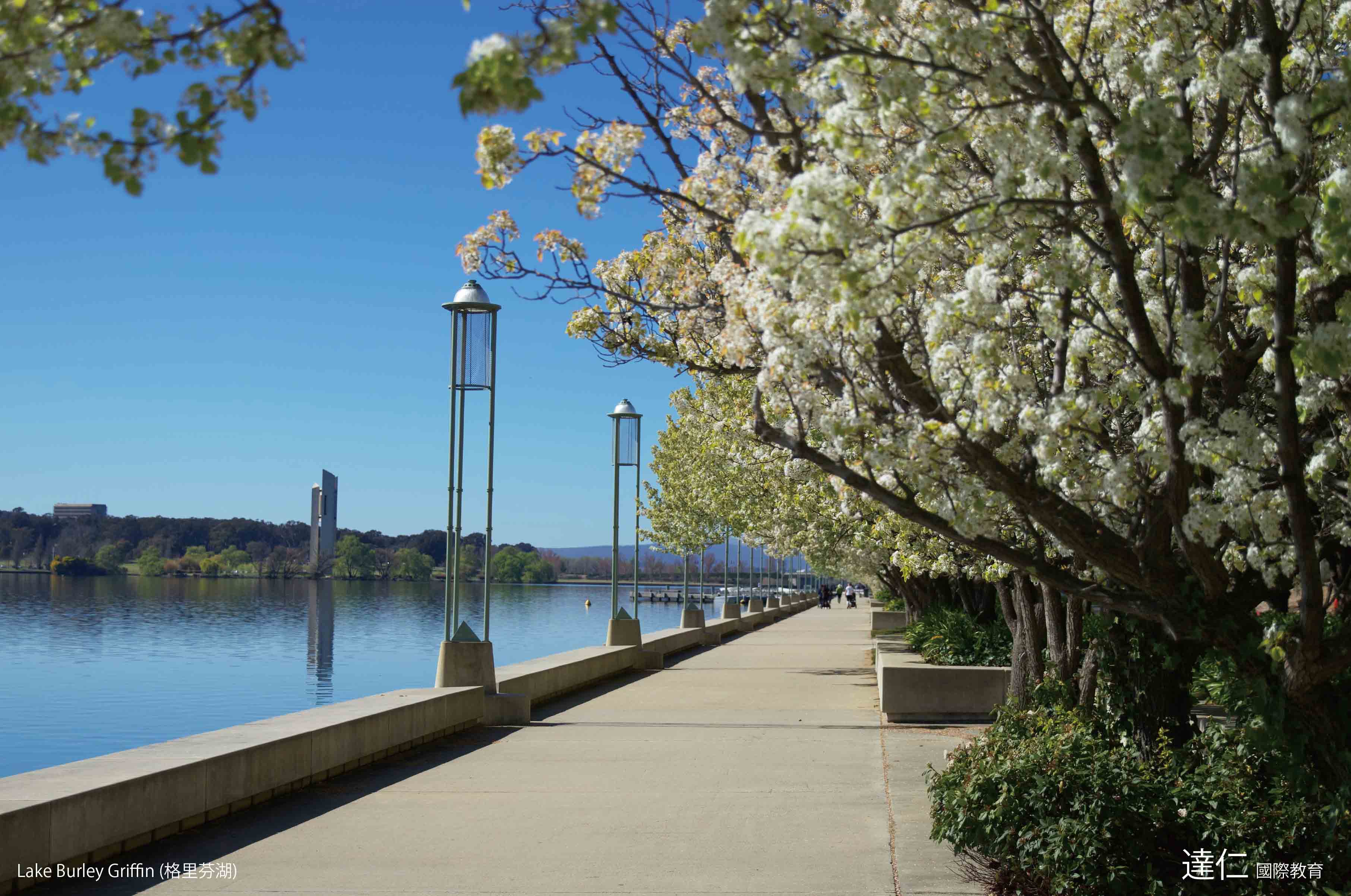 格里芬湖 Lake Burley Griffin