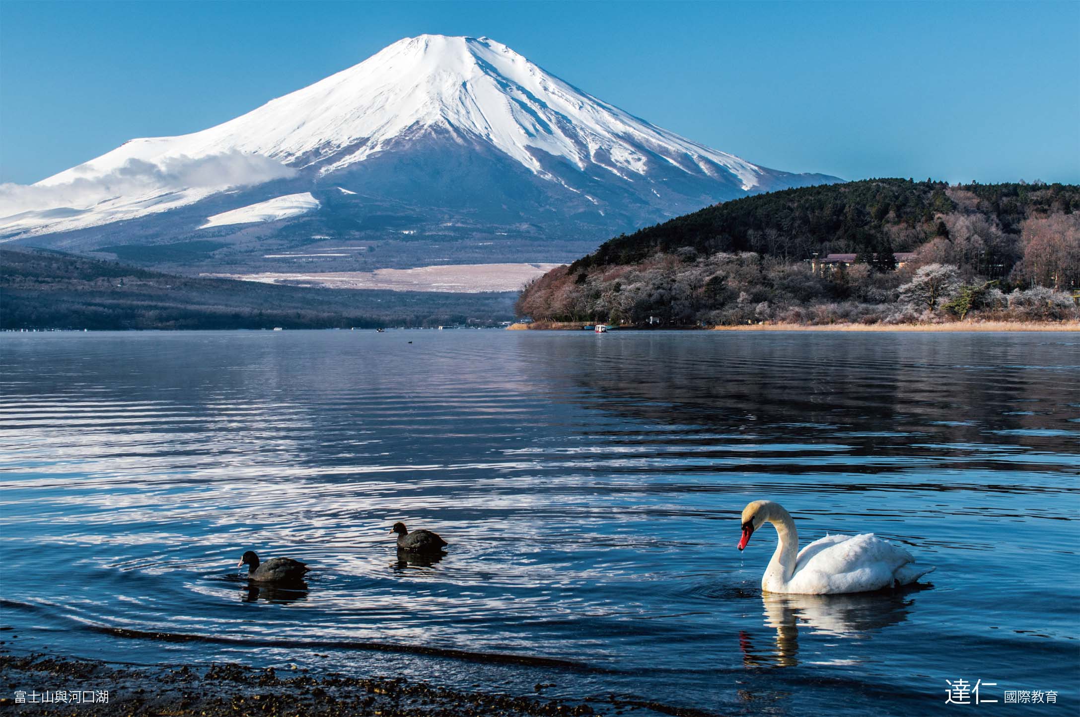 富士山與河口湖