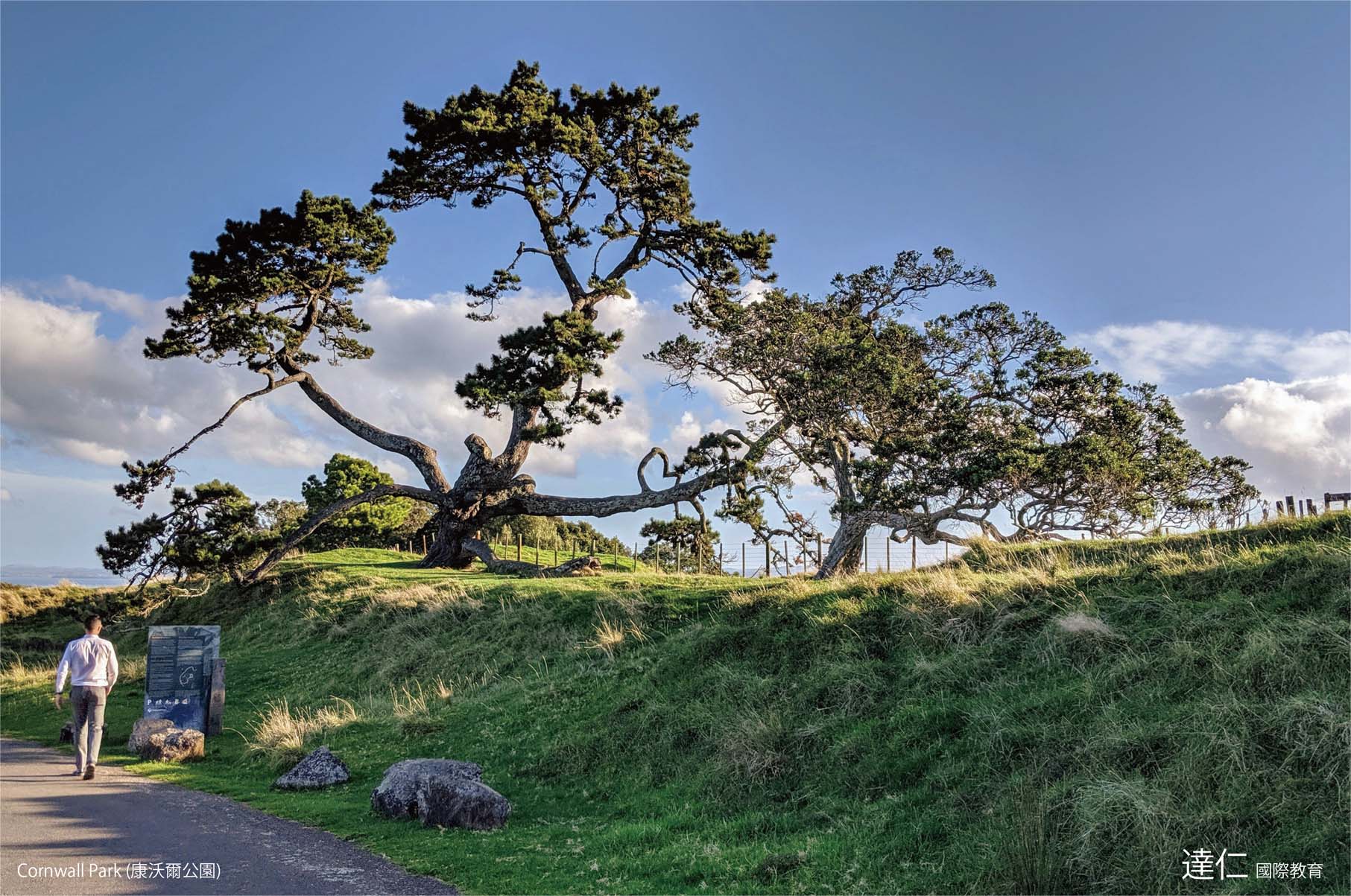 康沃爾公園 Cornwall Park