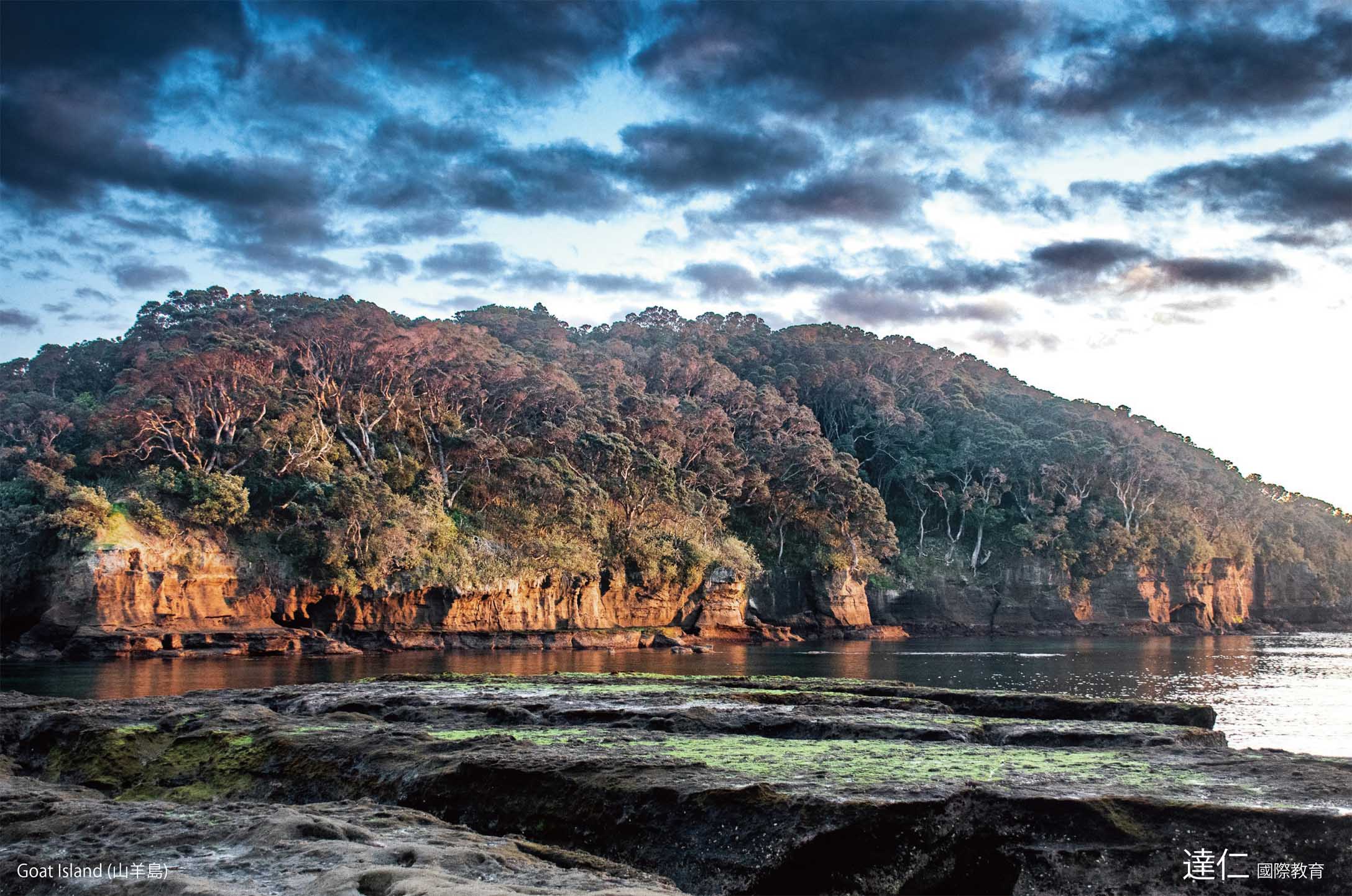 山羊島 Goat Island