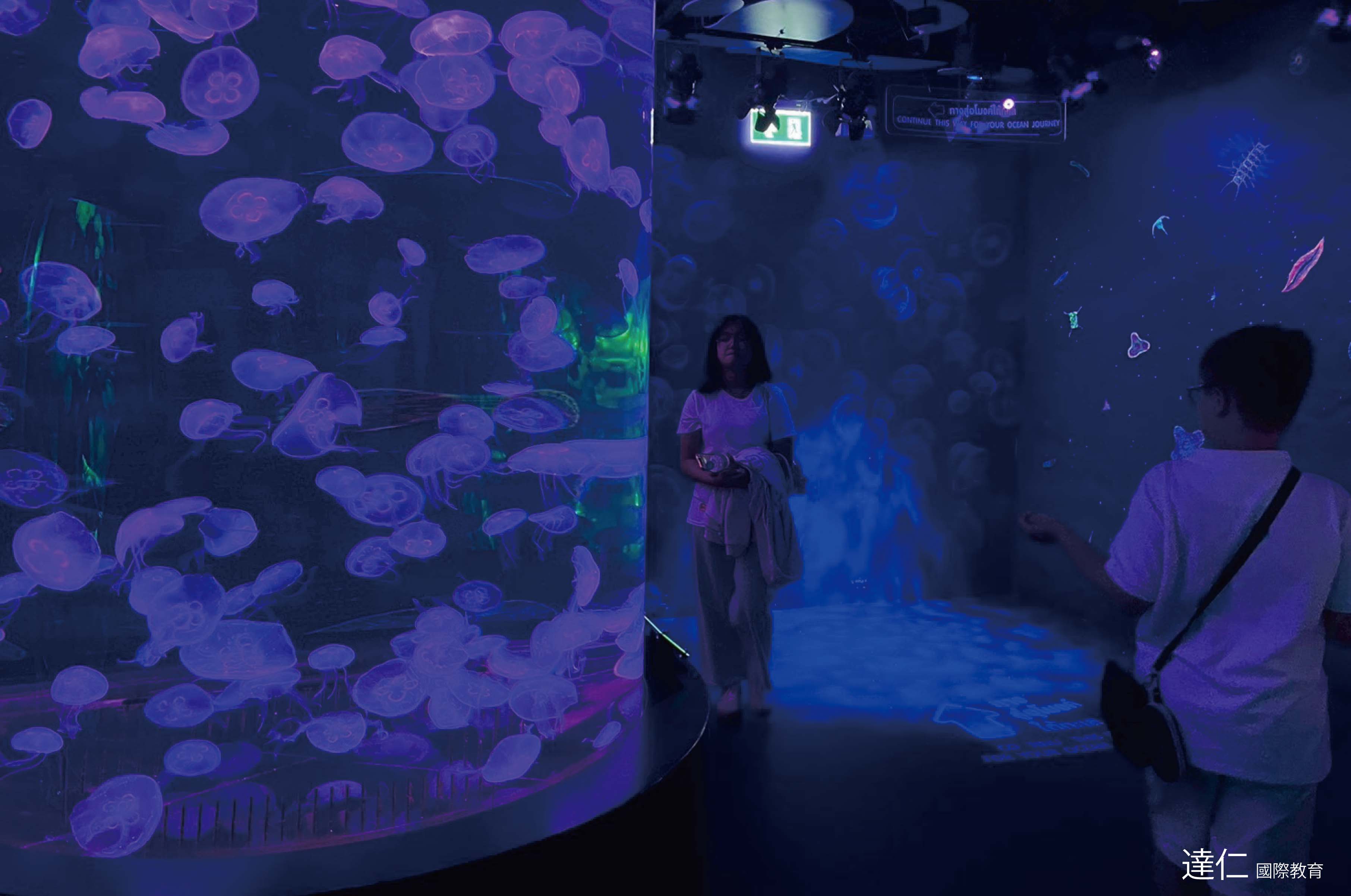 2026年曼谷 International House 學院冬令營 2026 International House Bangkok Winter Camp