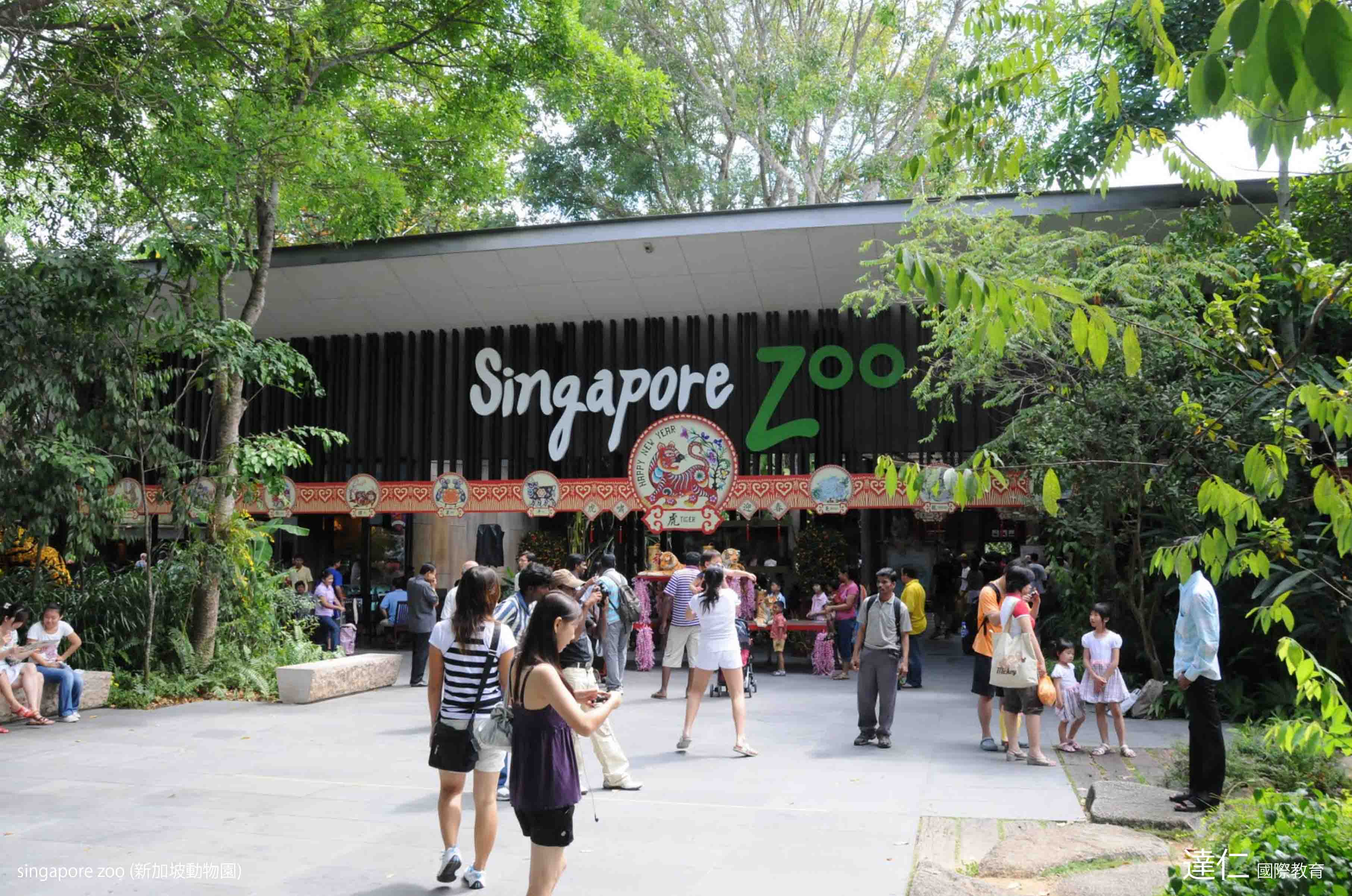新加坡動物園 singapore zoo
