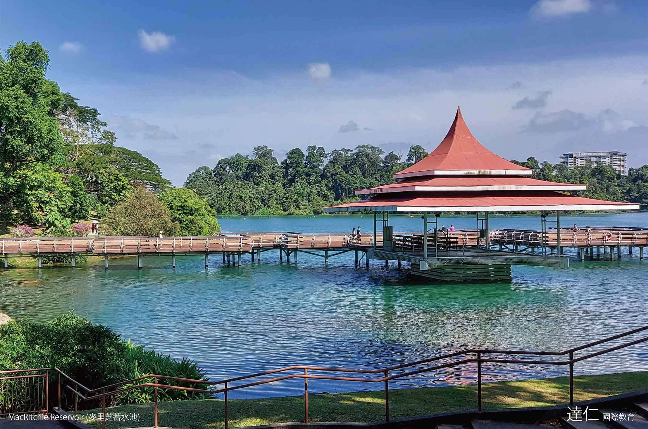 麥里芝蓄水池 MacRitchie Reservoir