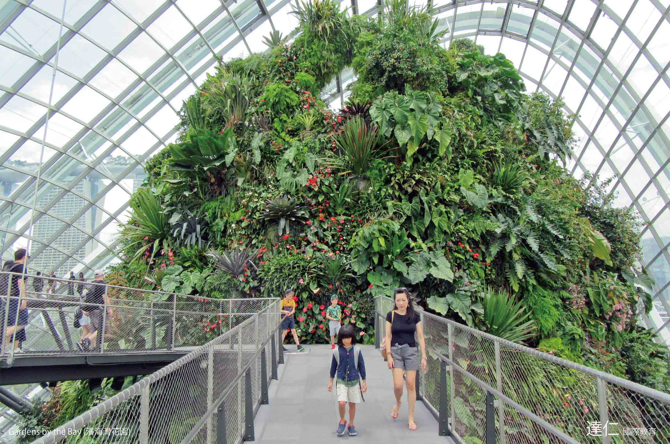 濱海灣花園 Gardens by the Bay