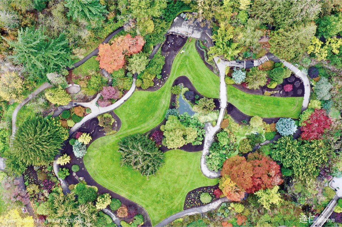 伊莉莎白女皇公園 Queen Elizabeth Park
