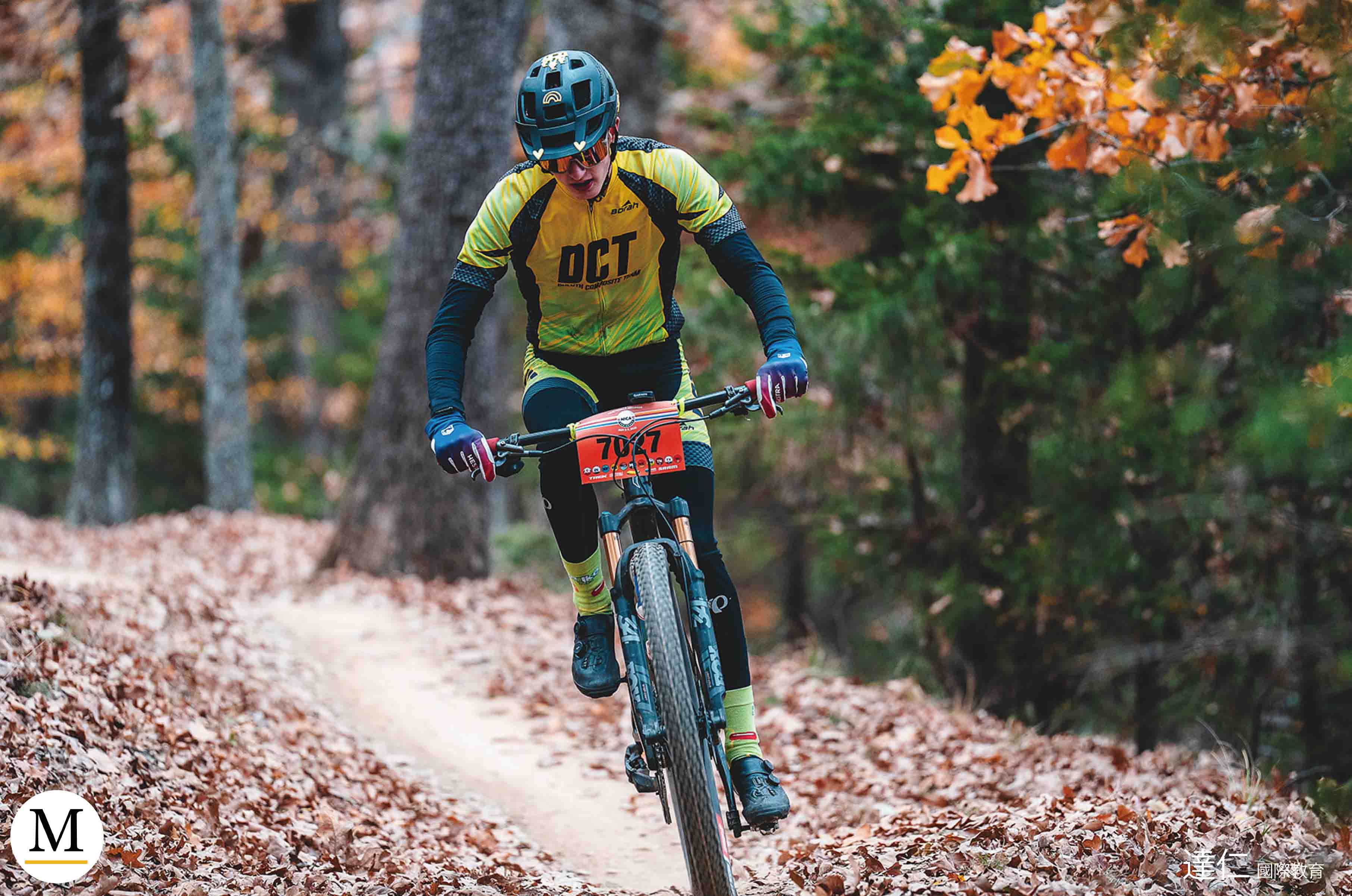 Marshall School 馬歇爾中學