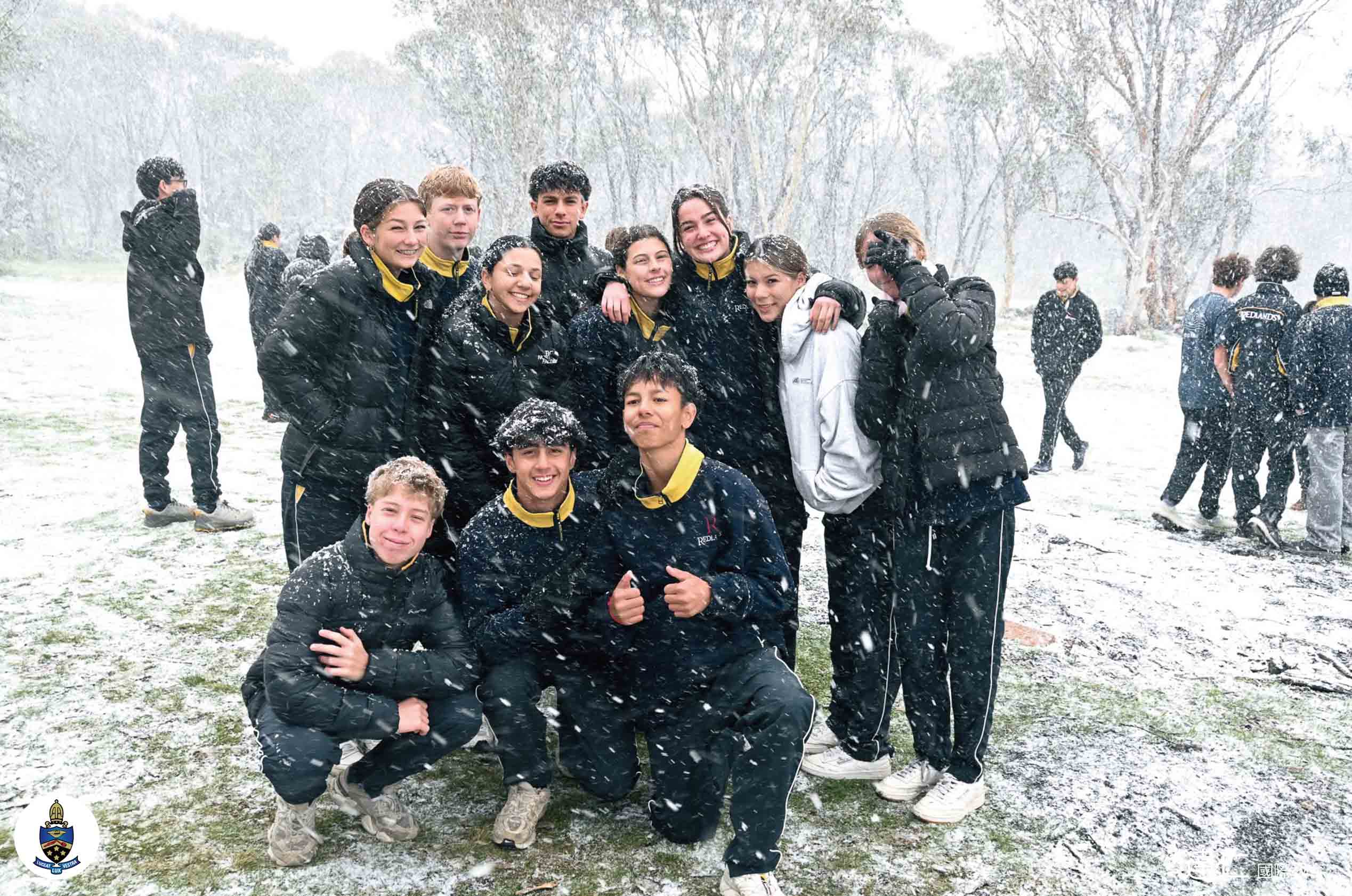 雷德蘭茲學校_Redlands_School