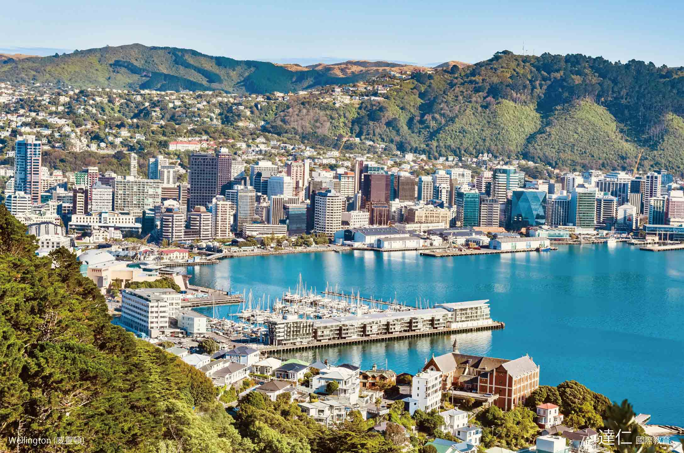 威靈頓_Wellington