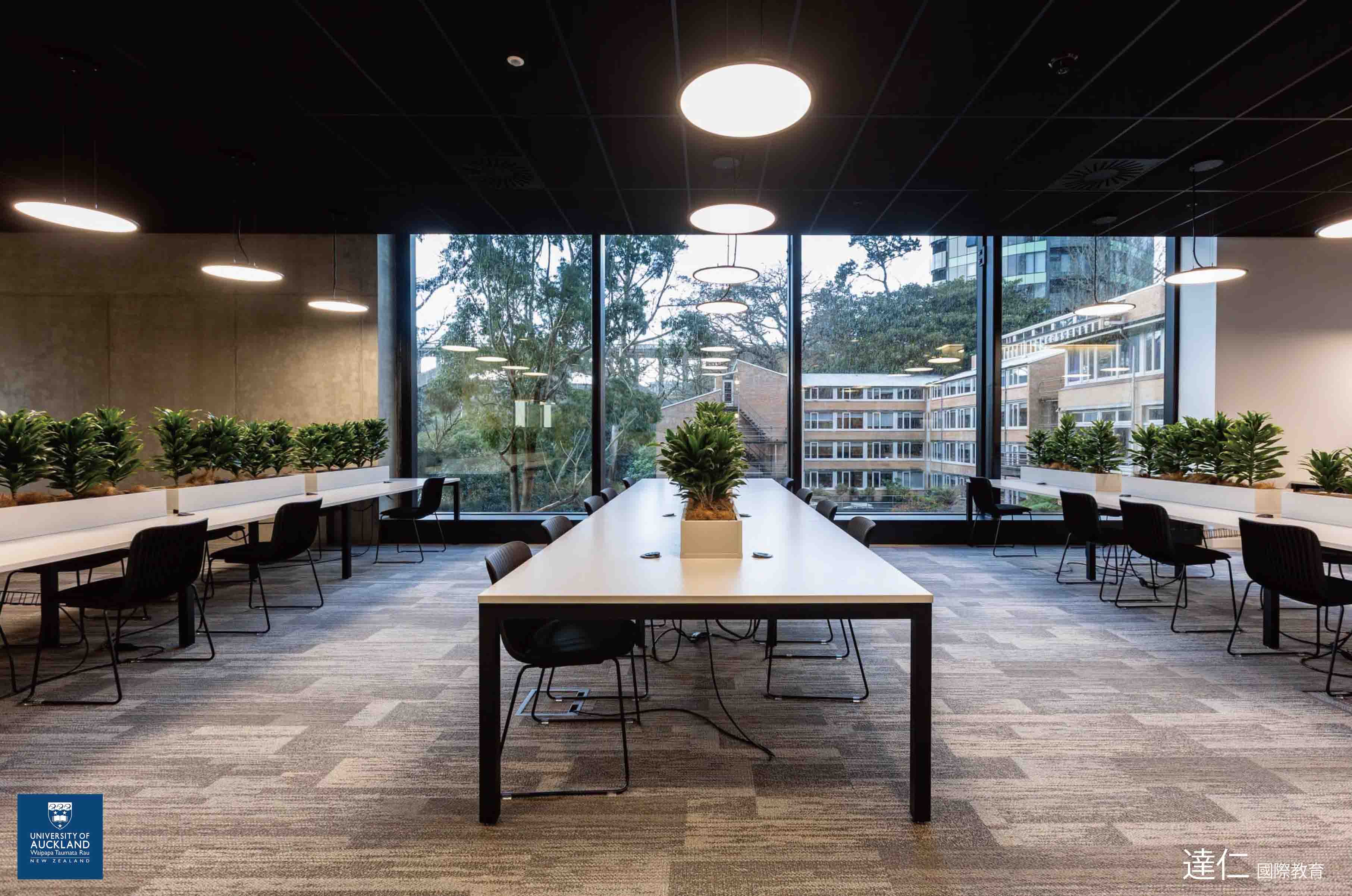 奧克蘭大學_University_of_Auckland